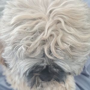 Meet your Posher, Nikki